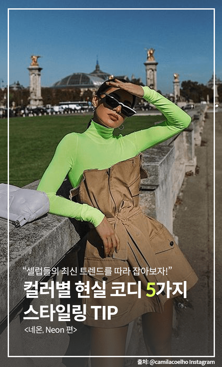 트렌디스